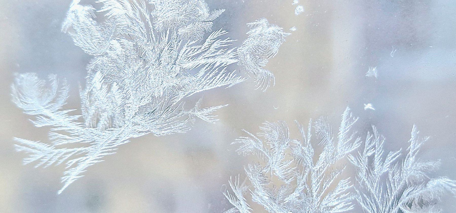 Lähikuva huurrekiteistä talvella